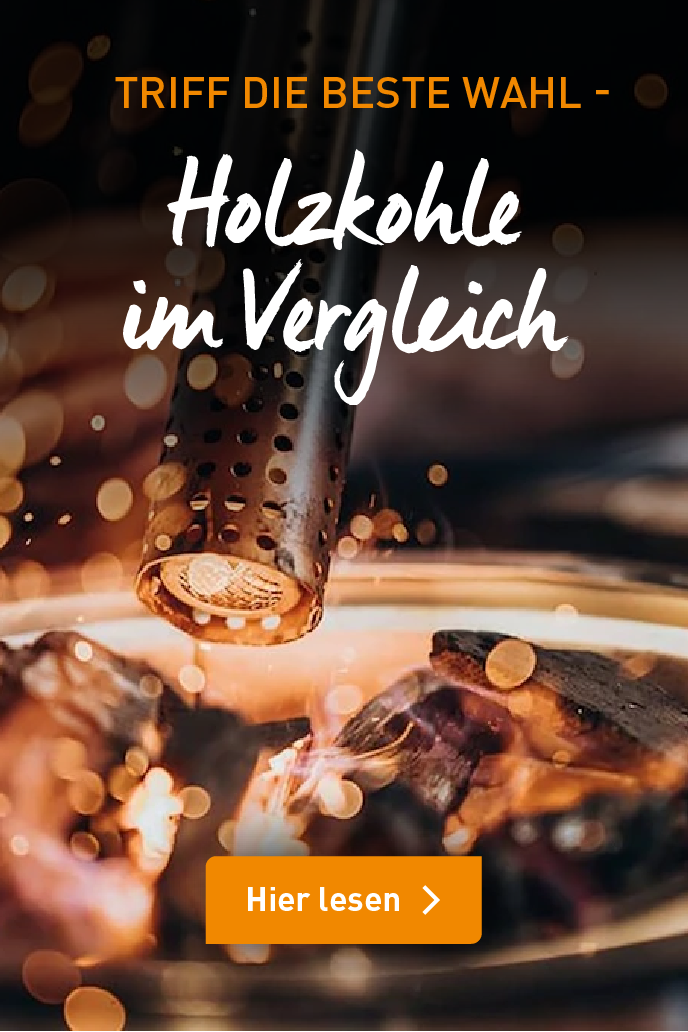 Holzkohle im Vergleich