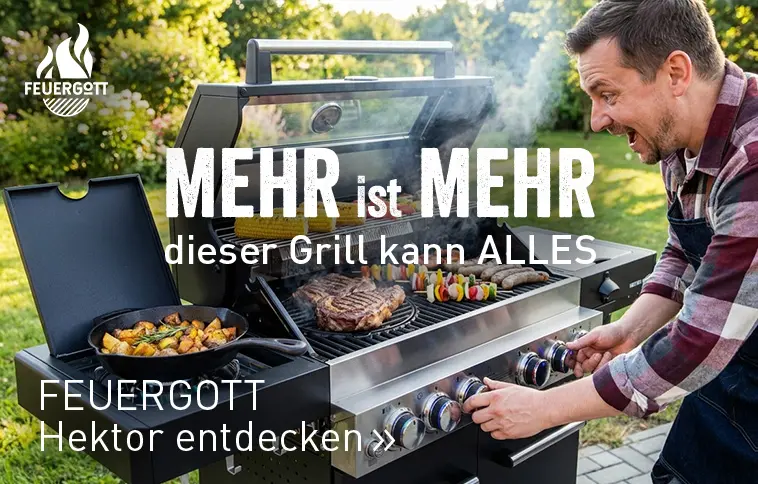 Feuergott Hektor