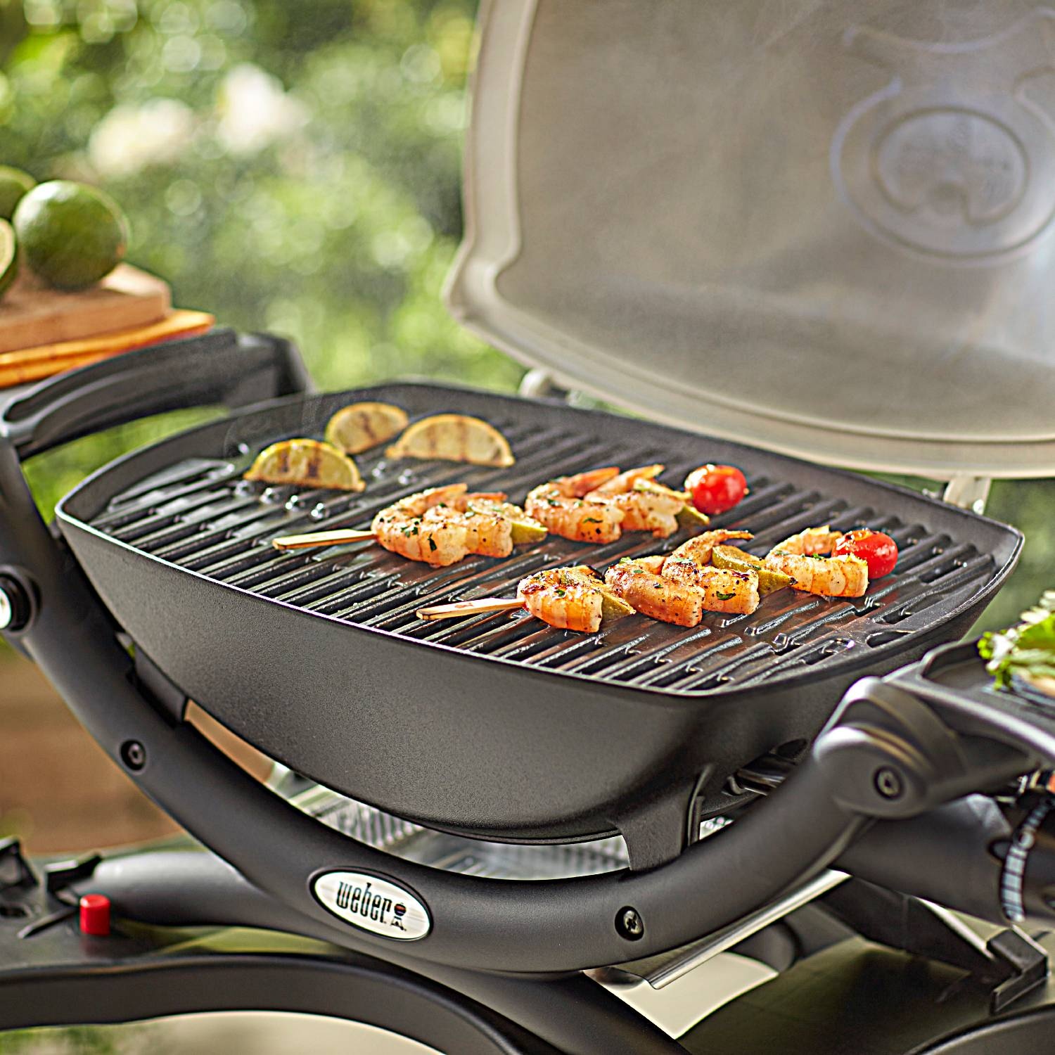 Weber Grillrost-Set Weber Q 100-/1000-Serie