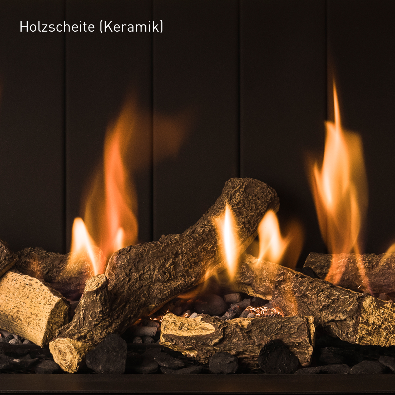Trimline Fires Trimline 83 Corner Left Gas Kamineinsatz G20