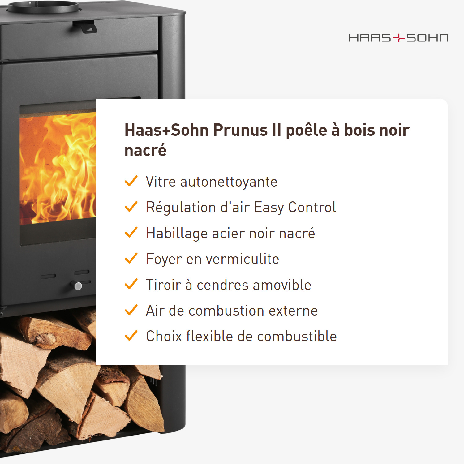 Haas+Sohn Prunus II poêle à bois noir perle