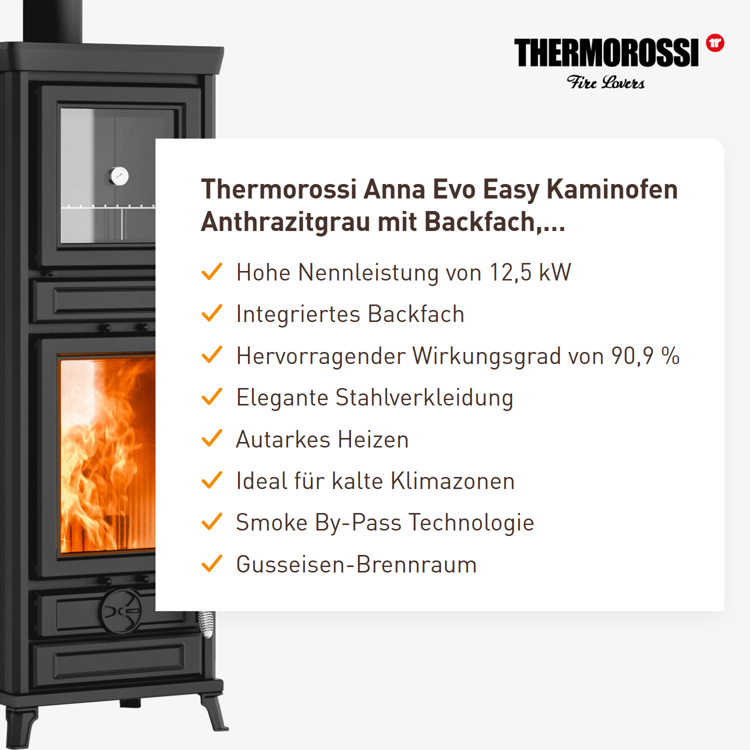 Thermorossi Anna Evo Easy Kaminofen Anthrazitgrau mit Backfach, Auslaufmodell