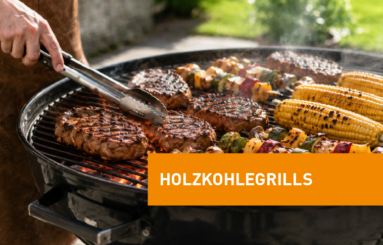 Holzkohlegrills