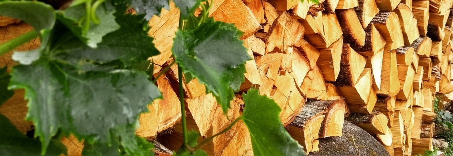 Effizientes Heizen mit dem Kamin: Tipps & Tricks